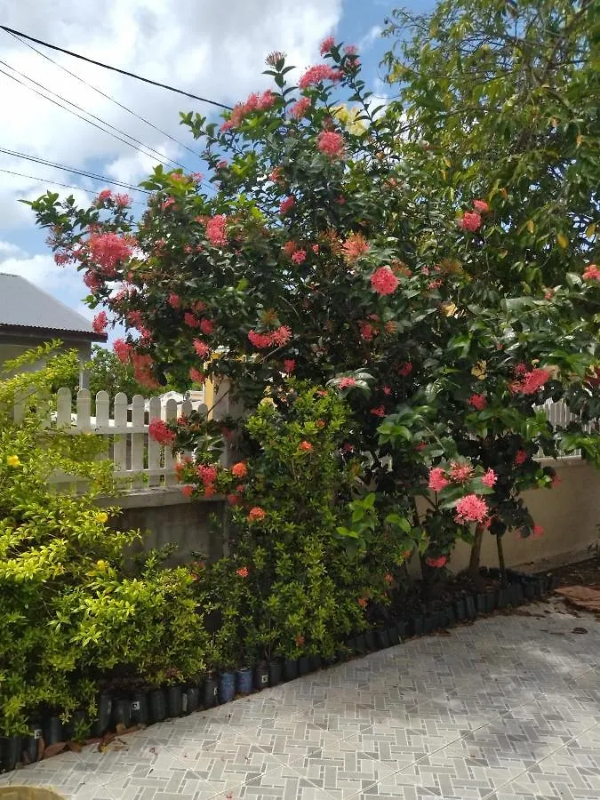 Studio Sympa Port-Louis